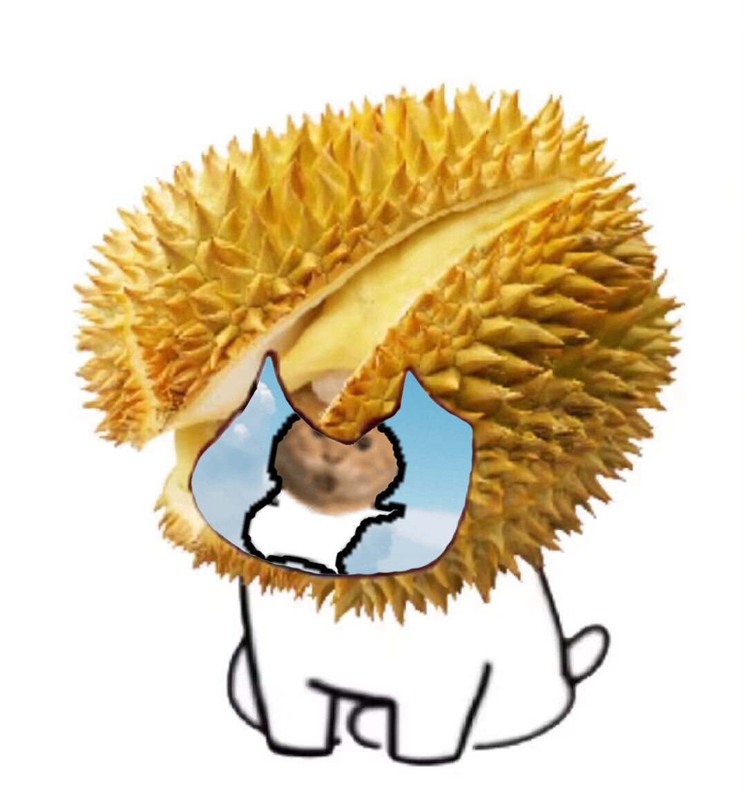 meme durian